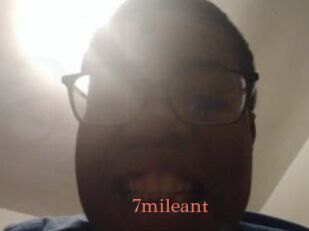 7mileant