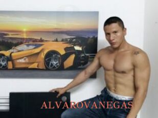 ALVAROVANEGAS