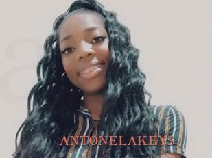 ANTONELAKEYS