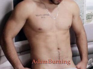 AdamBurning