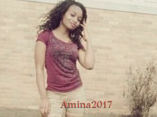 Amina2017