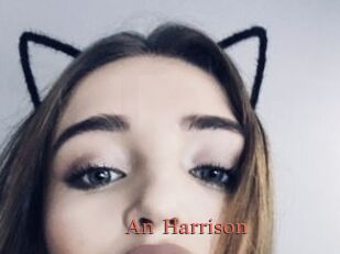 An_Harrison