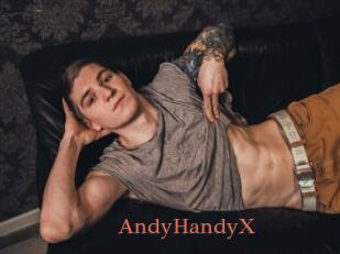 AndyHandyX