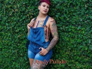 AndyPulido