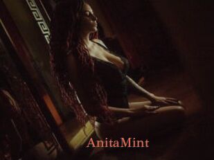 AnitaMint