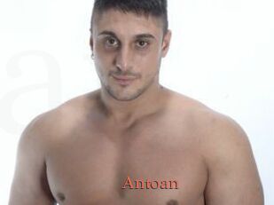 Antoan