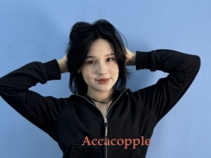 Accacopple