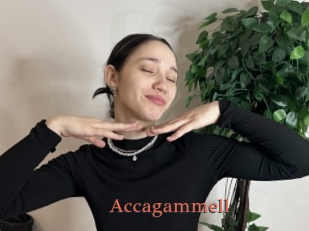 Accagammell