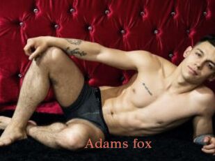 Adams_fox