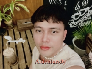 Aidenlandy