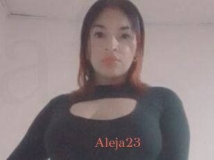 Aleja23