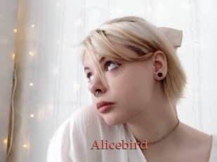 Alicebird