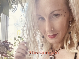 Alicesjungalo