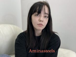 Aminasteels