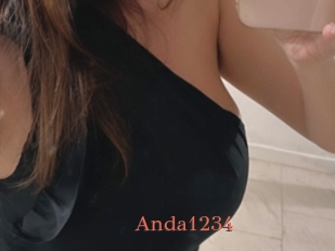 Anda1234