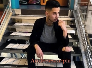 Andresescarpia