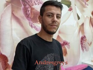 Andresgreys