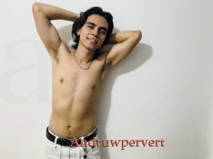 Andruwpervert