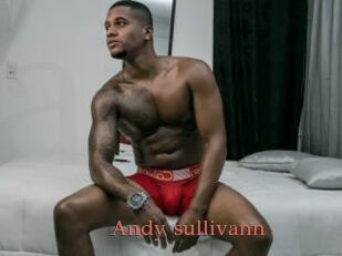 Andy_sullivann