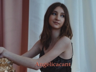 Angelicacant