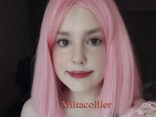 Anitacollier