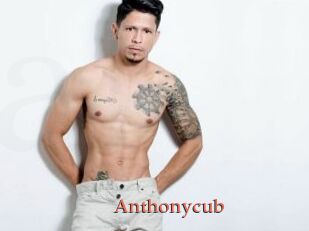 Anthonycub