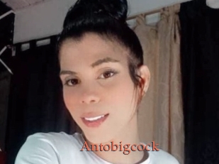 Antobigcock