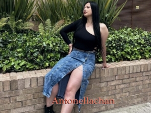 Antonellachan