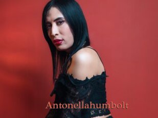 Antonellahumbolt