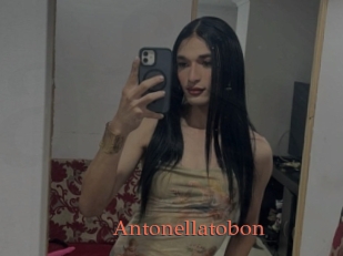 Antonellatobon