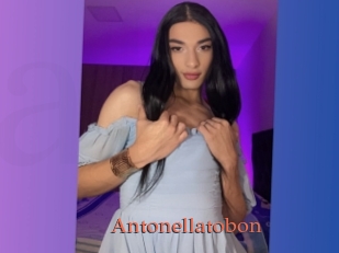 Antonellatobon