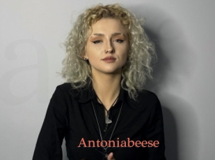 Antoniabeese