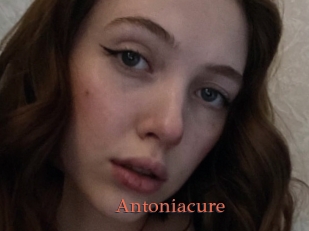 Antoniacure