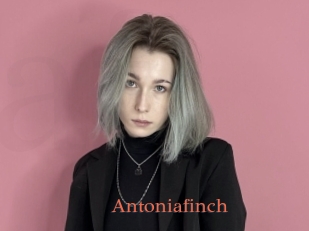 Antoniafinch