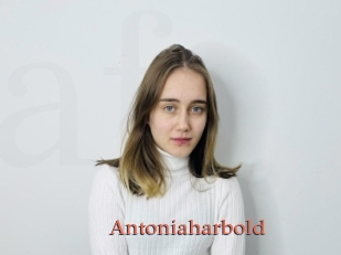 Antoniaharbold