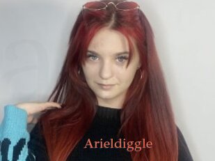 Arieldiggle