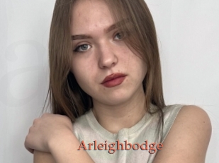 Arleighbodge