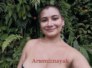 Artemiznayak