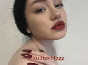 Audreybigge