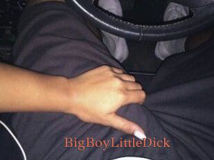 BigBoyLittleDick