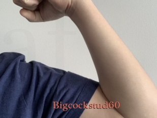 bigcockstud60 Anal Favorite