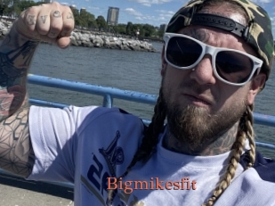 Bigmikesfit