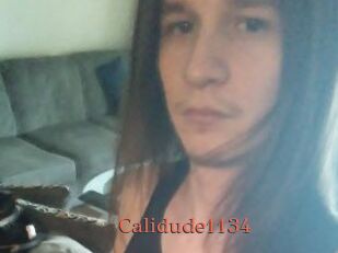 Calidude1134