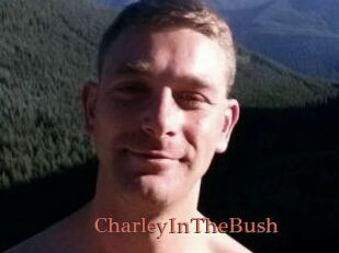 CharleyInTheBush