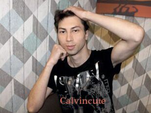 Calvincute