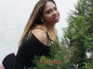 Cattybig