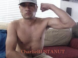 CharlieBUSTANUT