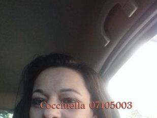 Coccinella-07105003