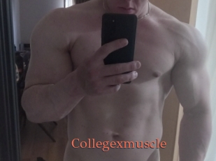 Collegexmuscle