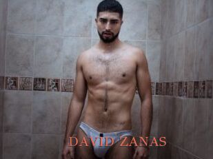 DAVID_ZANAS